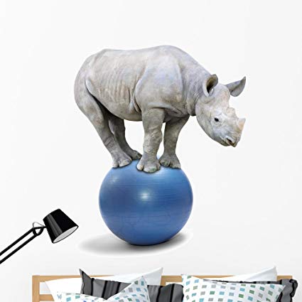 Wallmonkeys African White Rhinoceros Wall Decal Peel and Stick Animal Graphics (48 in H x 48 in W) WM50508