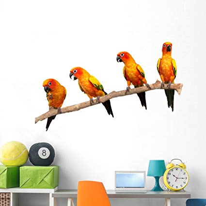 Wallmonkeys Four Perched Parrots Wall Decal Peel and Stick Animal Graphics (60 in W x 47 in H) WM298516