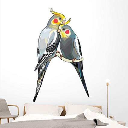Cockatiels Wall Decal by Wallmonkeys Peel and Stick Graphic (72 in H x 44 in W) WM109883