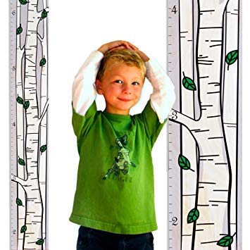 Growth Chart Art | Wooden Birch Tree Growth Chart for Kids [Boys AND Girls] - Kids Room Décor Height...